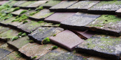 Sibson roof repair costs